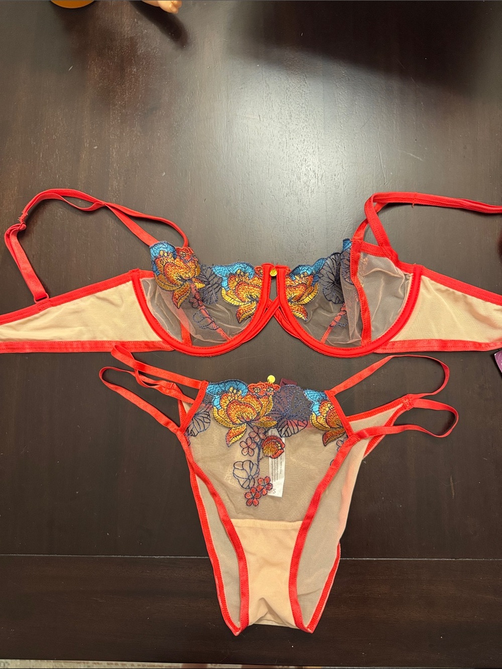 Love Red Sheer Bra with Multicolor Floral Embroidery